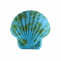 Effervescents de la mer - Boîte découverte de 6 